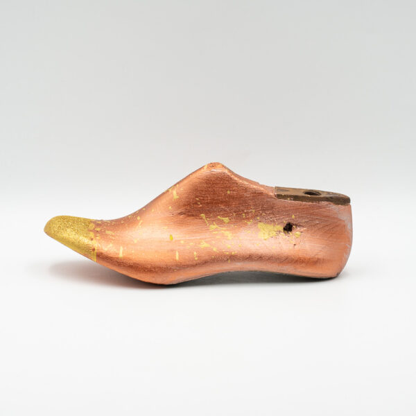 kalapodi-maroko-golden