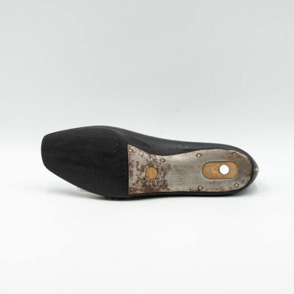 kalapodi-queen-elizabeth